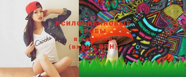 винт Алзамай