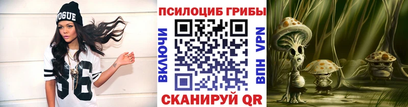 гидра   Саранск  Псилоцибиновые грибы прущие грибы  где найти  
