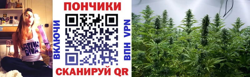 Каннабис гибрид  мориарти состав  Саранск 